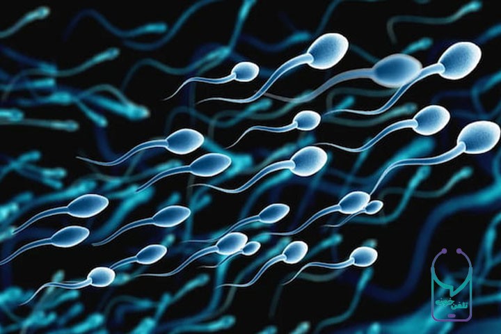 در هر بار انزال چند اسپرم خارج می‌شود؟