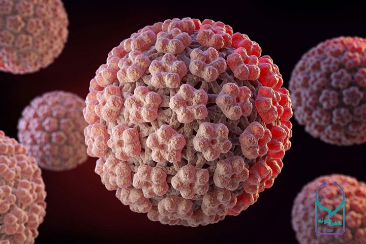 HPV چیست؟