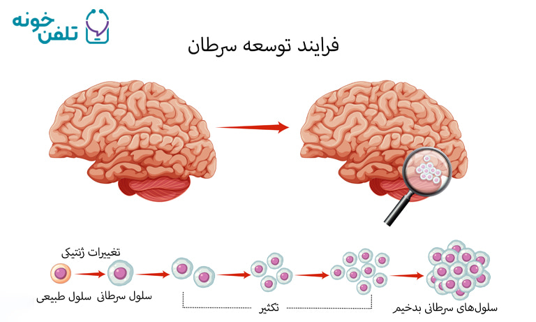 فرایند تکثیر سلول سرطانی