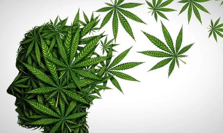 ترمیم مغز بعد از ترک ماری‌ جوانا