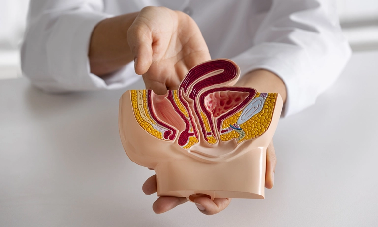 کولونوسکوپی برای تشخیص چه بیماری هایی است؟ 