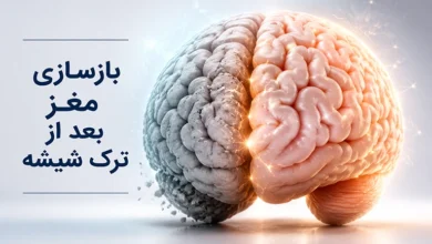 بازسازی مغز بعد از ترک شیشه