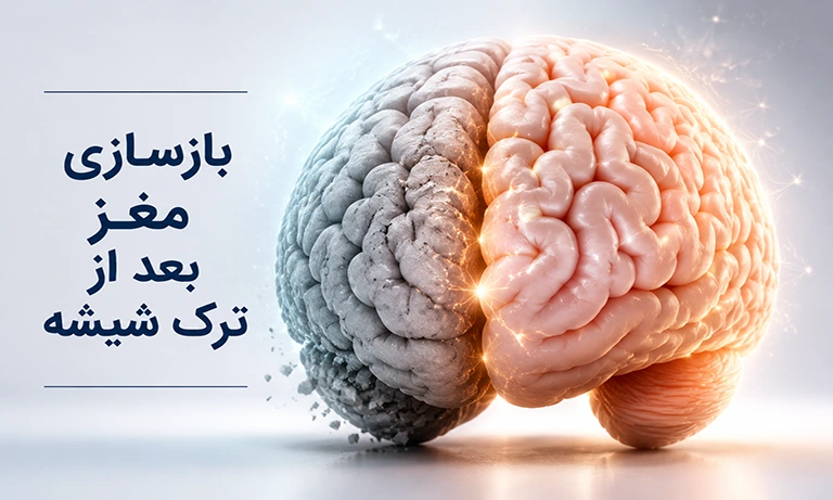 بازسازی مغز بعد از ترک شیشه چقدر طول می‌کشد؟ (نکات مهم)
