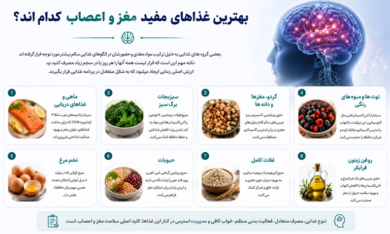 غذاهای مفید برای سلامت مغز و اعصاب