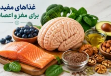 غذاهای مفید برای مغز و اعصاب