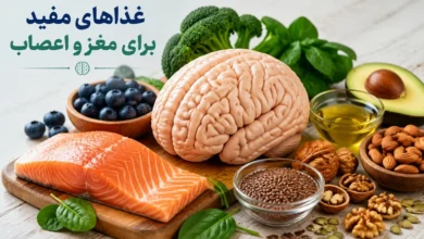 غذاهای مفید برای مغز و اعصاب