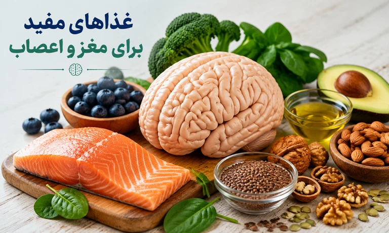 غذاهای مفید برای مغز و اعصاب