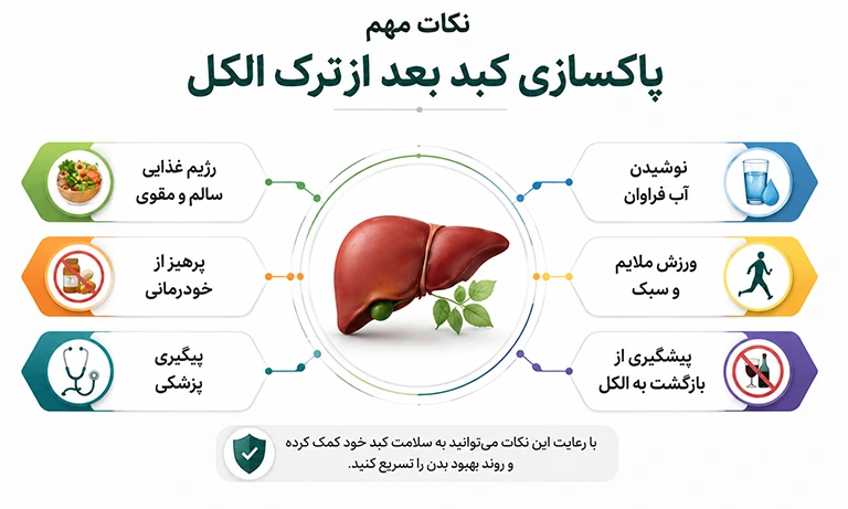نکات مهم پاکسازی کبد بعد از ترک الکل