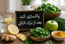 پاکسازی کبد بعد از ترک الکل