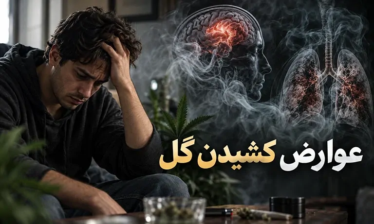 عوارض گل بر مغز چیست؟ عوارض کشیدن گل در مردان، زنان و نوجوانان